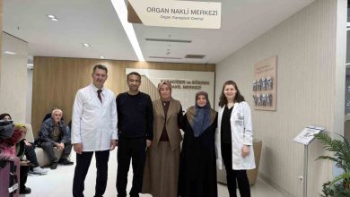 kayinvalide 20 yillik damadina bobregini verdi 6c910999941f |