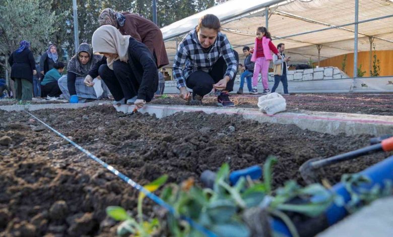 Mahalle bostanlarında kış dikimleri başladı 1 mahalle bostanlarinda kis dikimleri basladi c6be97ac339f |