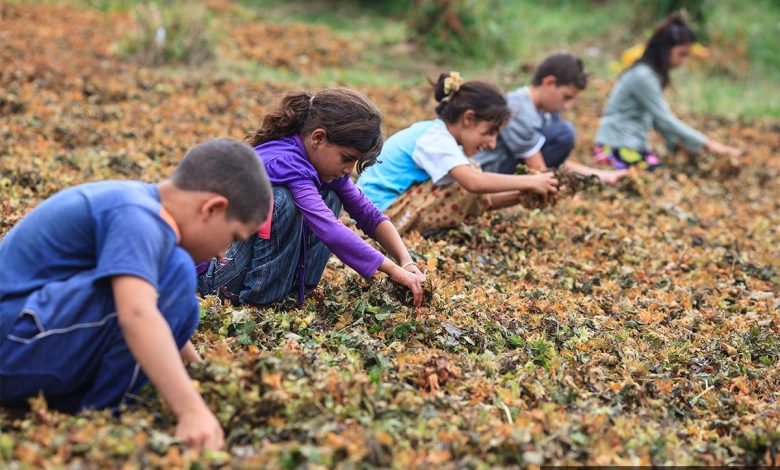 medya ordu 2012 keremyucel |