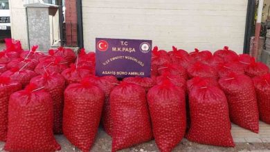 mustafakemalpasada hirsizlar 46 cuval ceviz ile yakalandi 518c85827e0d |