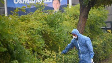 Osmangazi’de kemirgenlere karşı ilaçlama çalışması başlatıldı 3 osmangazide kemirgenlere karsi ilaclama calismasi baslatildi 23e3a154d70c |