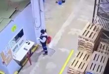 paletlerin altinda kalmaktan son anda kurtuldu 6474458aa68f |