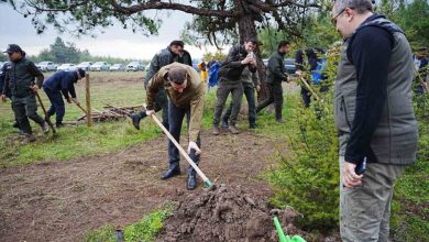 sindirgida milli agaclandirma gununde fidanlar toprakla bulustu 3a0795e736e4 |
