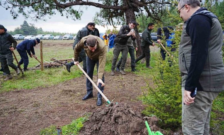 sindirgida milli agaclandirma gununde fidanlar toprakla bulustu 3a0795e736e4 |