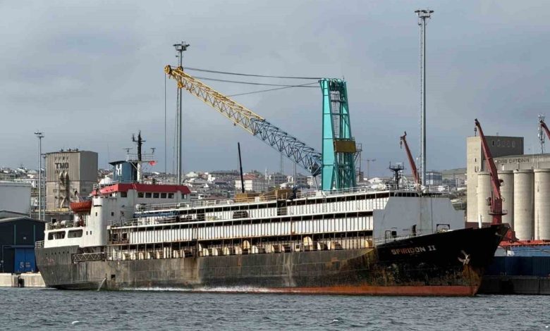 tahliye yasagi telef olan hayvanlar ve kotu koku spiridon 2 krizi derinlesiyor 1e4f25aa2b57 |