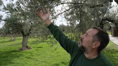 unlu komediyen ata demirer canakkale ve bozcaadaya olan askini anlatti 7a58efef3ea8 |