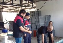 zeytin hirsizliklarinin karsi denetim 19ab3c14c776 |