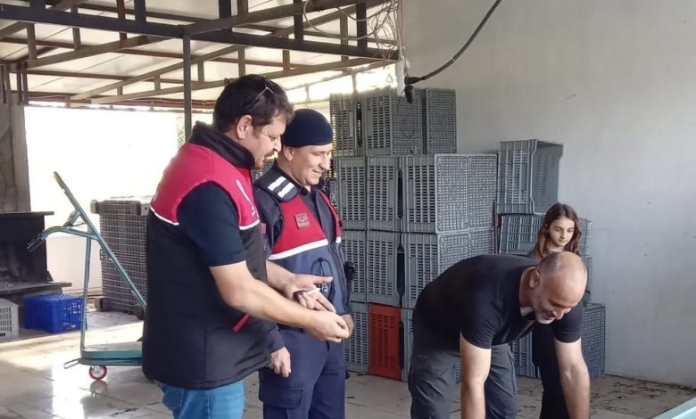 Zeytin hırsızlıklarının karşı denetim 1 zeytin hirsizliklarinin karsi denetim 19ab3c14c776 |