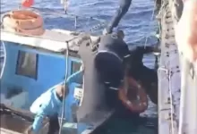 AW600554 02 e1765895550142 |