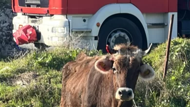 WhatsApp Image 2025 12 18 at 16.16.55 |