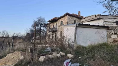 bagli kopek cocuklara saldirdi 14 yasindaki cocuk agir yaralandi 0048215a305e |