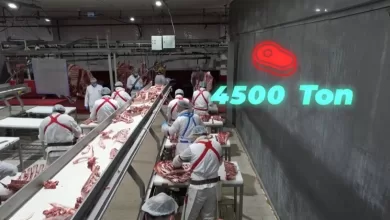 bakan yumakli 4 bin 500 ton kirmizi et uretimi ile elazigin tarimsal ve ekonomik potansiyeline guclu bir katki saglayacagiz 77ef0210a94a |