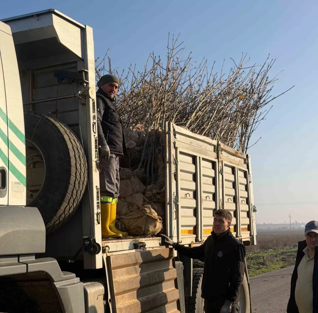 bandirmanin 55inci kirsal mahallesinde 350 agac toprakla bulustu d8694b5d9276 |