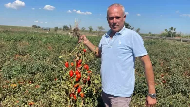 dedesi secimde muhtar oldu adina secim konuldu b170b52018d3 |