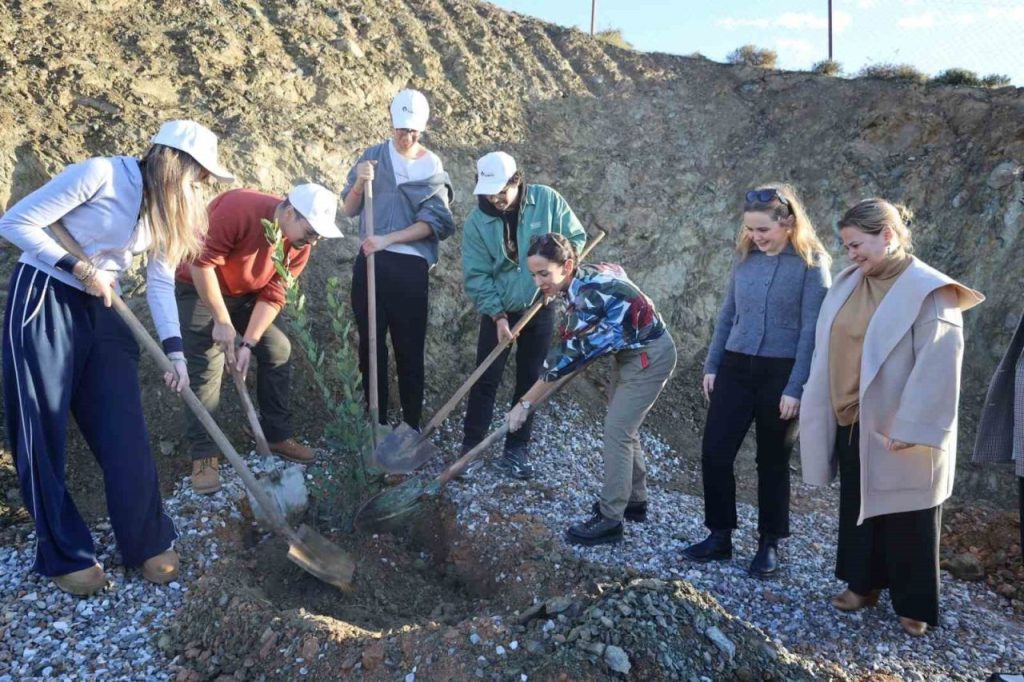 defne fidanlari toprakla bulustu cc6e0b488280 |