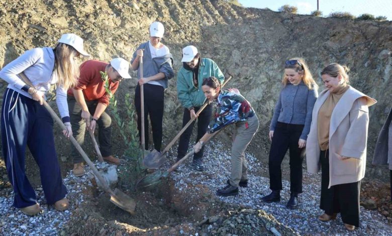 defne fidanlari toprakla bulustu cc6e0b488280 |