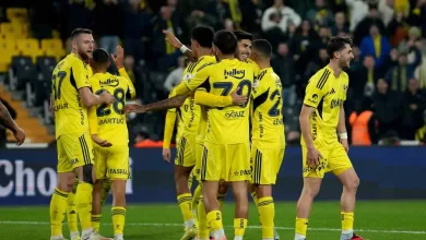 Fenerbahçe, ligde 2 maç sonra kazandı 118 fenerbahce ligde 2 mac sonra kazandi 27a43de9e6cc |
