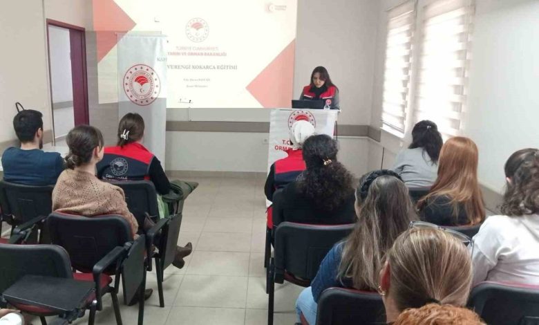 Gelibolu’da kahverengi kokarca ile mücadele eğitimleri devam ediyor 1 geliboluda kahverengi kokarca ile mucadele egitimleri devam ediyor d7b8f81833e8 |