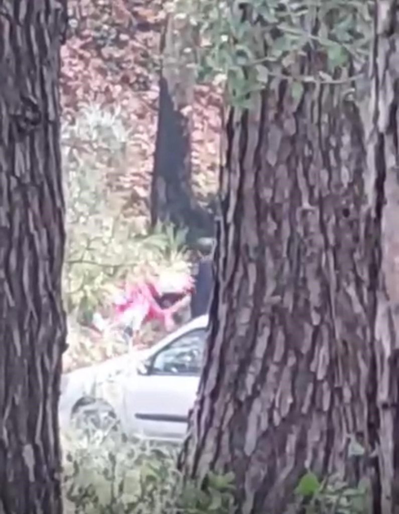 izmirde bir kadin ormanlik alanda darbedildi 03d4c51b85f5 |