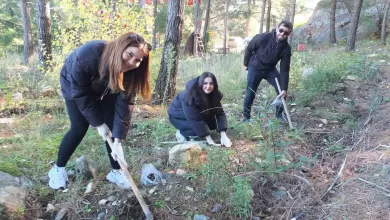 kazdaglarinda bal ormanina universiteli destegi 1c638a0f00ca |