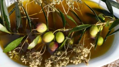 kekik ve zeytinyagi doganin iki sifa kaynagi tasbaskida bir araya geldi 2daedc0f2f9e |