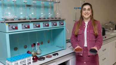 kirmizi mor meyvelerden fonksiyonel gida urunu ee3be130179b |