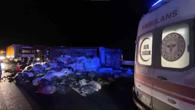 kuzey marmara otoyolunda kamyonet devrildi 2 yarali b1bcc2957994 |