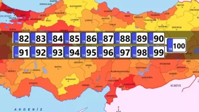 liste guncelledi hepsi il olmaya aday iste 19321961 4495 amp |