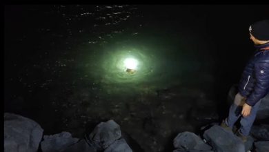 misina ve ipe dolanan caretta carettanin yardimina vatandaslar yetisti 0199b4f98b85 |