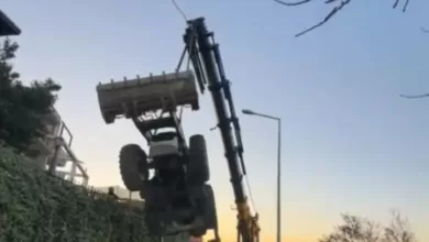 mudanyada kepcenin vincten dustugu anlar kameraya yansidi 705c6373cdb1 |