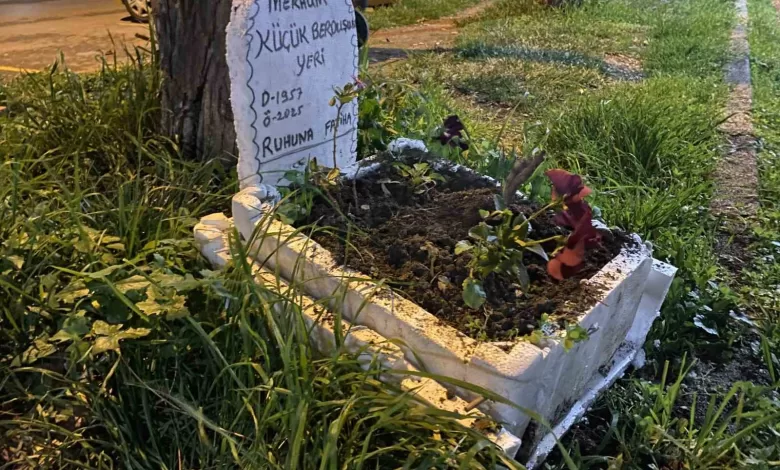 taksicilerden vefaolen muhabbet kuslari icin mini mezar yaptilar 253901a1d9f0 |