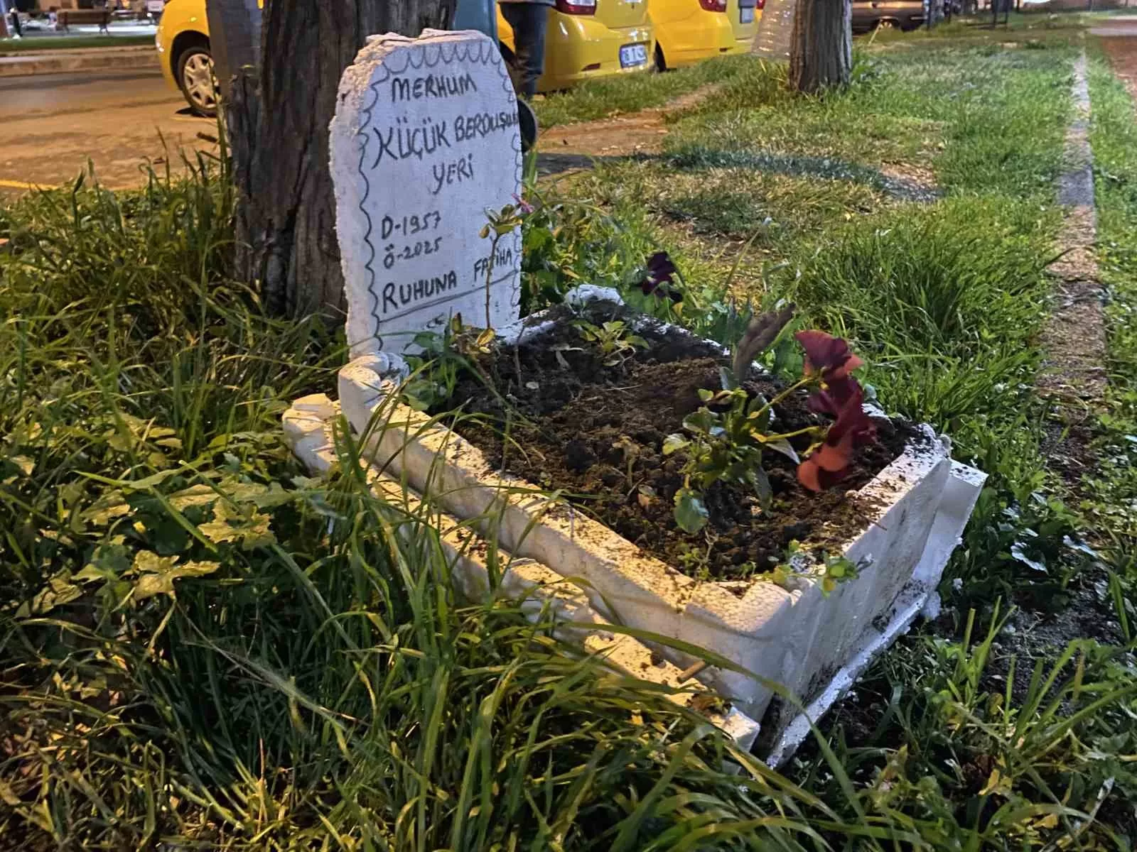 Taksicilerden vefa…Ölen muhabbet kuşları için mini mezar yaptılar