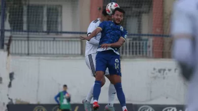 tff 2 lig menemen fk 2 aliaga fk 1 dab9fce5233b |