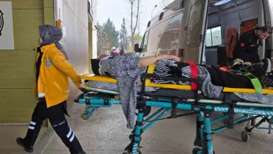 ticari arac agaca carpti 1i cocuk 2 yarali 5d872cb050e3 |