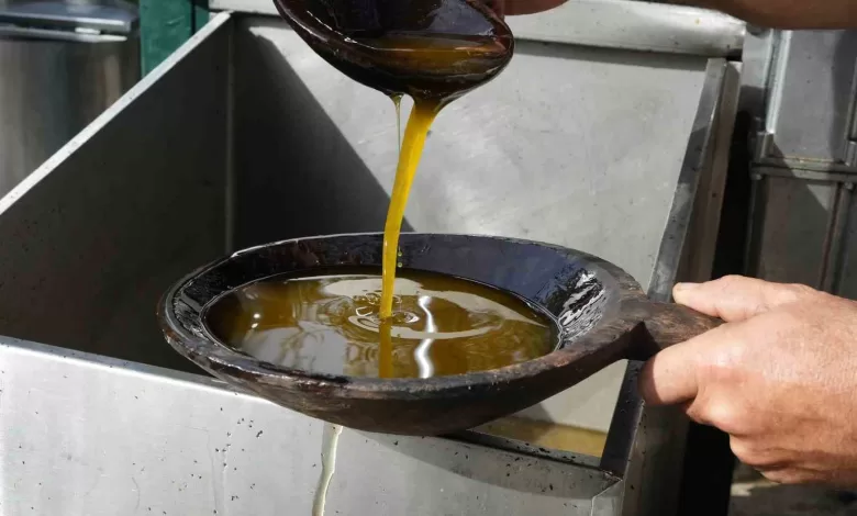 zeytinyaginda dededen kalma tas baski yontemini yasatiyor 05f878fb748c |