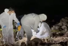 8 gun sonra golette bulundu elif kumalin olum nedeni belli oldu 8d1b9e0d3d49 |