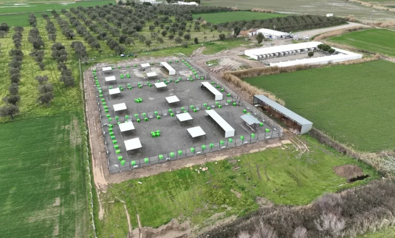 CAN DOSTLARA YENI YASAM ALANI 6 |