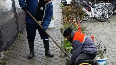 WhatsApp Image 2026 01 03 at 19.36.27 |