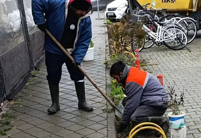 WhatsApp Image 2026 01 03 at 19.36.27 |