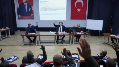 WhatsApp Image 2026 01 07 at 14.33.47 |