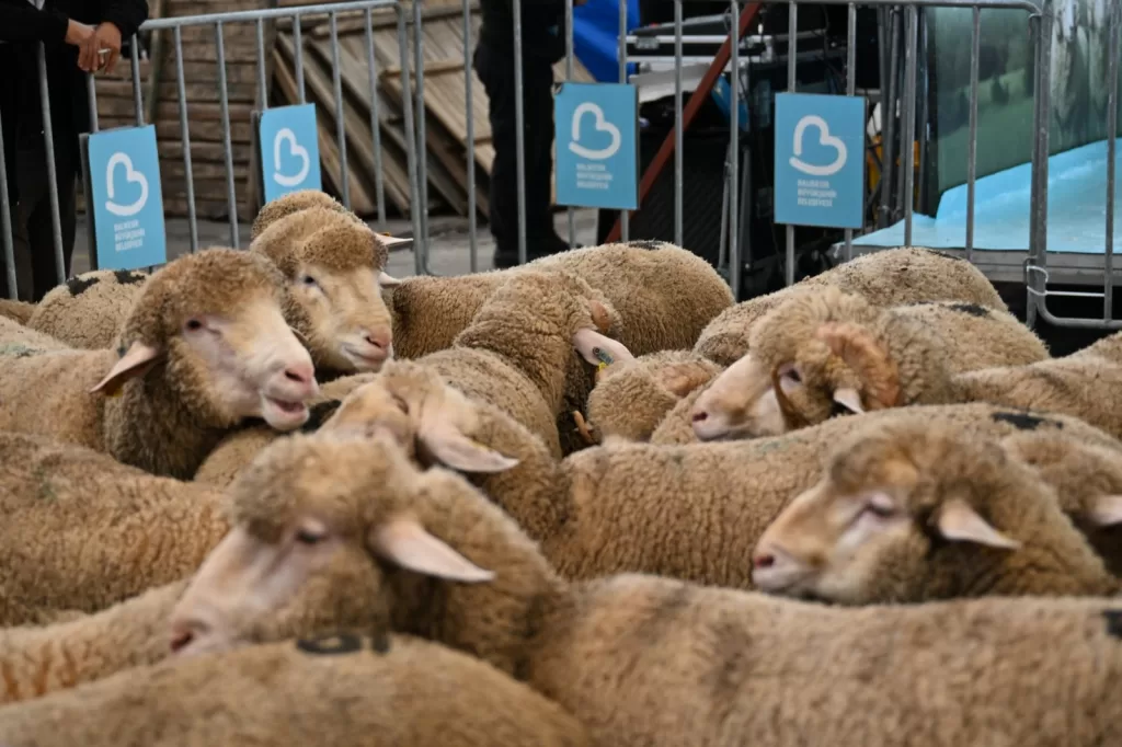 WhatsApp Image 2026 01 07 at 14.41.54 |