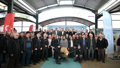 WhatsApp Image 2026 01 07 at 14.41.59 |