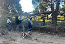 WhatsApp Image 2026 01 13 at 09.46.55 |