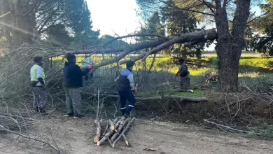 WhatsApp Image 2026 01 13 at 09.46.55 |