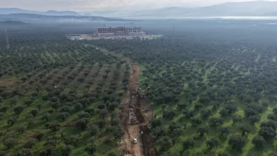 WhatsApp Image 2026 01 14 at 12.11.09 |