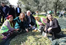 WhatsApp Image 2026 01 15 at 10.22.25 |