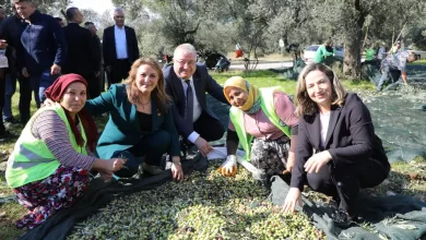 WhatsApp Image 2026 01 15 at 10.22.25 |