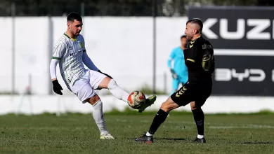 WhatsApp Image 2026 01 25 at 17.50.36 |