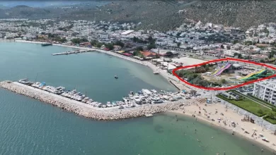 WhatsApp Image 2026 01 28 at 17.37.02 |