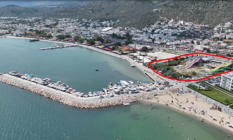 WhatsApp Image 2026 01 28 at 17.37.02 |